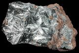 Metallic, Radiating Pyrolusite Cystals - Morocco #56959-3